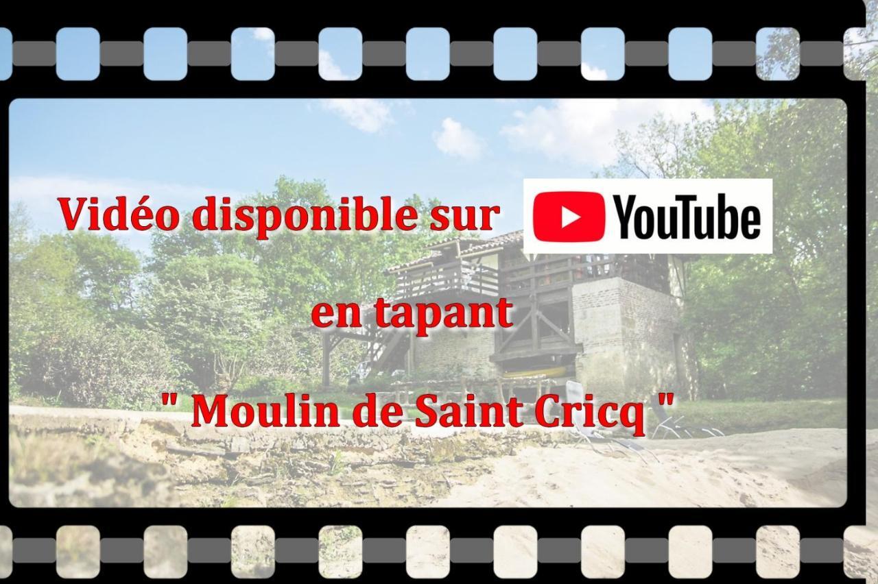 Moulin De Saint Cricq Villa Екстериор снимка